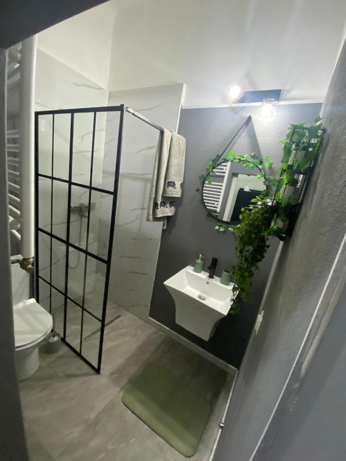 Green Vibes Central Брашов Экстерьер фото