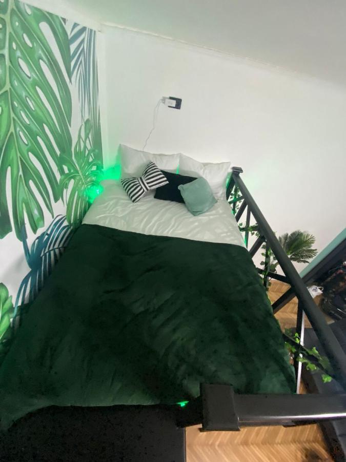 Green Vibes Central Брашов Экстерьер фото